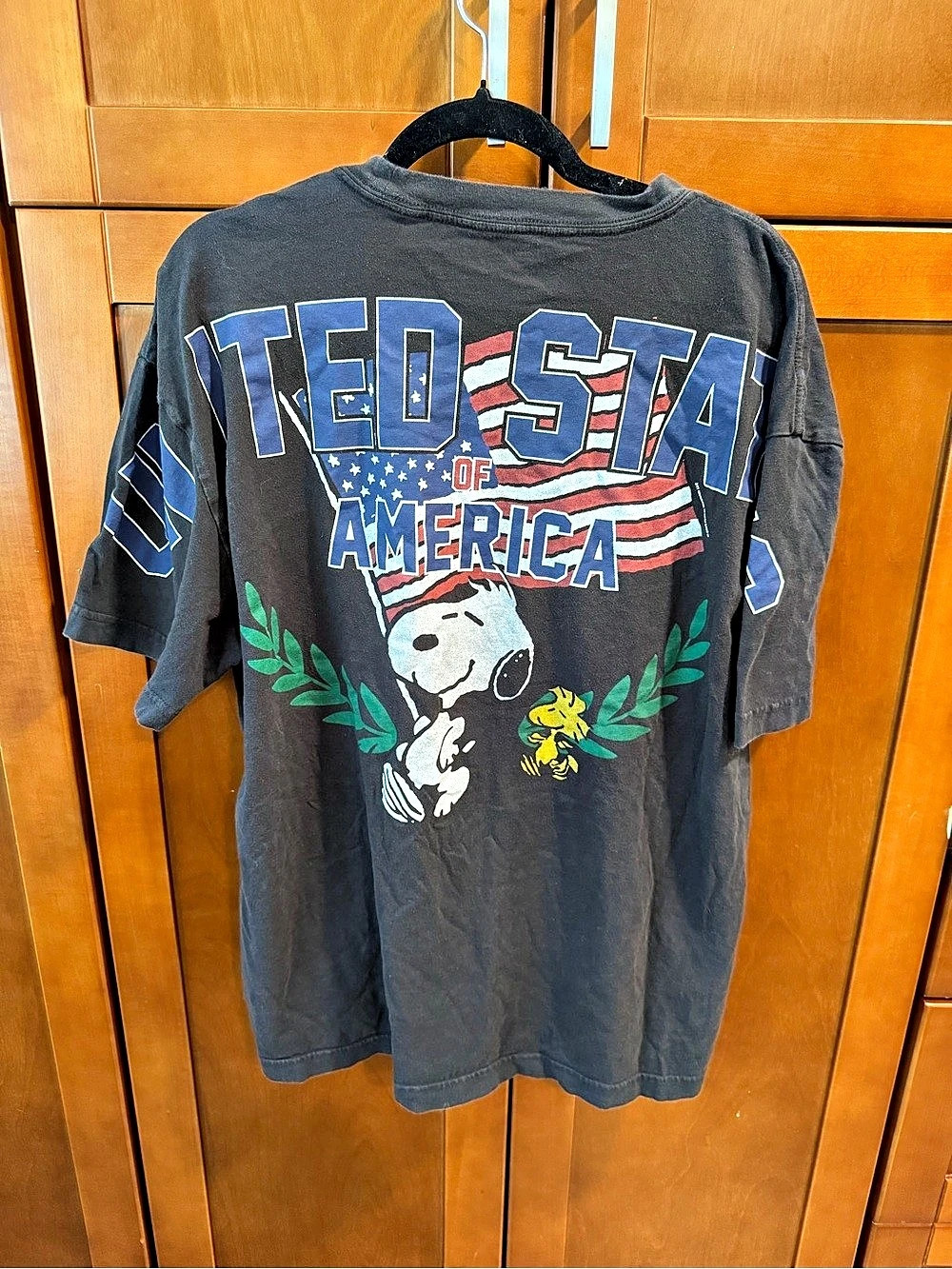 Hollister Graphic Short Sleeve Tee Size Large